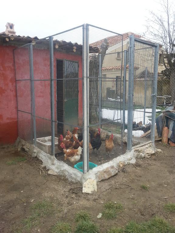 El Refugio Del Dragon Hostel Arcones Ngoại thất bức ảnh